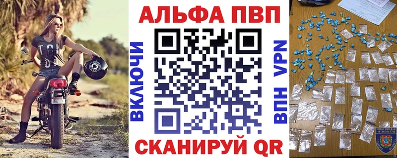 Альфа ПВП СК Горно-Алтайск