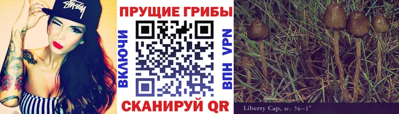 Купить  Горно-Алтайск  Галлюциногенные грибы мицелий 